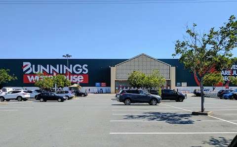 Photo: Bunnings Warehouse Carseldine